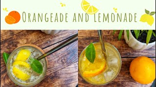 Orangeade and Lemonade  Orange and lemon preserve for instant drinks Refreshing lemonade [upl. by Celio602]