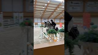 Showjumping competition 😎 pferd horse equestrian [upl. by Anitroc502]