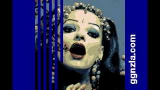 ggnzla KARAOKE 134 Nina Hagen  DU HAST DEN FARBFILM VERGESSEN [upl. by Nueormahc]