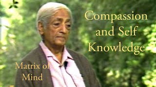 Krishnamurti Acts of Kindness amp Compassion Self knowledge as Prerequisite to Love [upl. by Namsu]