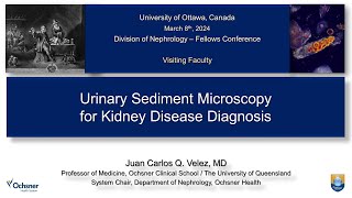 Urinary Sediment Microscopy ​for Kidney Disease Diagnosis with Dr JC Velez [upl. by Ahsenor]