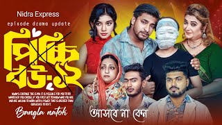 পিচ্চি বউ নাটক 12 নম্বর পর্বটি আসবেনা। Picchi Bou Natok Episode 12 Ash Bena। Drama update 🤔 [upl. by Adnerb971]