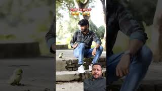 Mitthu ne sunai sayri shorts funny comedy greenscreen reaction mitthu tota talkingparrot [upl. by Nivonod80]