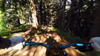 MTBVTT DH  Les Houches 2015 [upl. by Sanalda496]