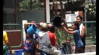 Songkran nouvel an thailandais [upl. by Ennaillij571]