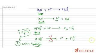 Which of the following is a set of amphiprotic species   12  IONIC EQUILIBRIUM  CHEMISTRY [upl. by Flora]