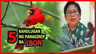 KAHULUGAN NG PANAGINIP NA IBON  IBIG SABIHIN O MEANING NG IBON SA PANAGINIP [upl. by Sean]