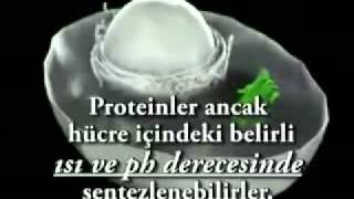 Proteinler neden tesadüfen oluşamaz [upl. by Lizabeth471]