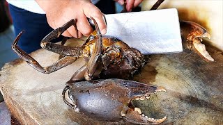 GIANT MUD CRAB Seafood Street Food [upl. by Neevan]