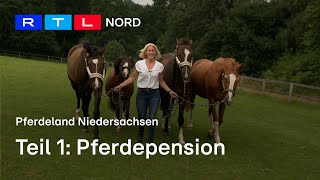 Pferdepension mit computergestützter Fütterung amp Aktivstall [upl. by Farika634]