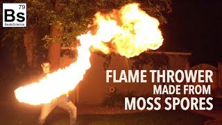 Flame Thrower made from Moss Spores [upl. by Sesiom]