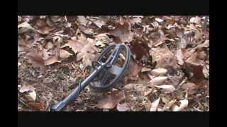 Metal Detecting Saturday December 15th 2012  Nugget Noggin [upl. by Yemane]