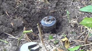 How to Remove and Cap a Sprinkler Head [upl. by Whitehouse]