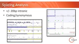 WEBINAR The New Era of Diagnostic Testing  Chromosomal Sequencing Analysis CSA [upl. by Hars324]