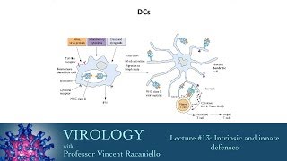 Virology 2014 lecture 13  Intrinsic and innate defenses [upl. by Andrej]