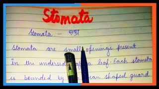 What is Stomata  Definition of Stomata in Plants  Stomata kise kahate hain [upl. by Pinsky725]