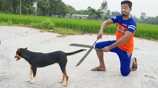 Top New Trending Funny Video 2022 😂Totally Viral Comedy Video Episode 36 By Maha Fun Tv [upl. by Oicatsana]