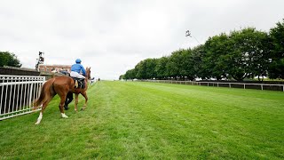 DESERT FLOWER 121 for next years 1000 Guineas following Newmarket romp [upl. by Naegem]