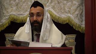 RAvner Yunayev Halachot Shabbat 9524 [upl. by Bradway]