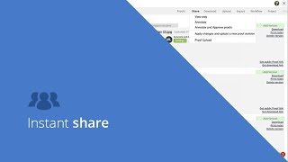 Review Groups and Stages  Instant Share [upl. by Aelam]