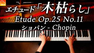 【感謝！150万人】ショパン「木枯らし」エチュード  Chopin  Etude Op25 No11 “Winter Wind” CANACANA [upl. by Opal]