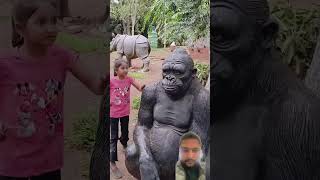 Gorilla 🦍 animals monkey gorilla zoo kgfchapter2 music song shorts [upl. by Lekim]