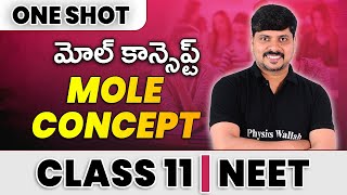 MOLE CONCEPT in 1 ShotAll Concepts amp PYQs Covered  Class 11  NEET [upl. by Thirzia]