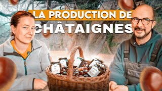 La CONSERVATION ET TRANSFORMATION DE LA CHATAIGNE un allié pour lAUTONOMIE [upl. by Enotna]