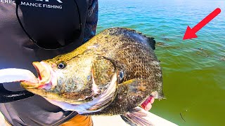 How To Catch a Bama TRIPLETAIL Catch n Cook [upl. by Yerggoeg434]