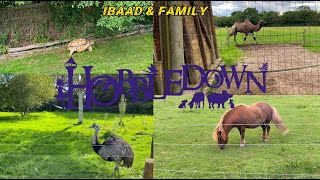 Animals In Hobbledown Adventure Farm Park and Zoo Epsom England 🏴󠁧󠁢󠁥󠁮󠁧󠁿 [upl. by Krystyna301]