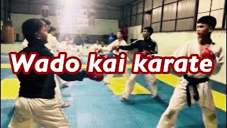 Wado Kai Karate Training Time Gongabu Dojo karate training wadokaitraining 🥋👊👊 [upl. by Schiro]