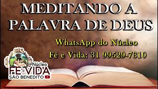 MEDITANDO A PALAVRA DE DEUS 12 DE NOVEMBRO DE 2024 NÚCLEO FÉ E VIDA SÃO BENEDITO [upl. by Adama]