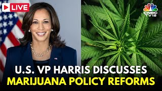 LIVE US Vice President Kamala Harris Discusses Marijuana Policy Reforms  Cannabis USA News  IN18L [upl. by Packston]