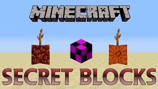 ILLEGAL Secret Blocks in Minecraft [upl. by Heid712]