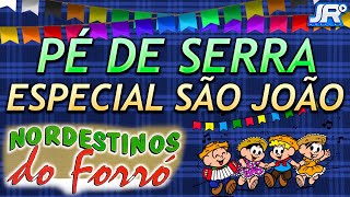 Pé de Serra  Especial São João  Nordestinos do Forró [upl. by Abernon]