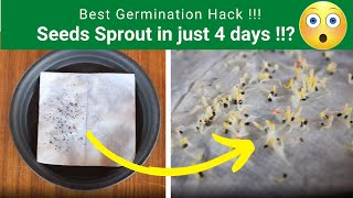 Best Seeds Germination Hack Tissue Paper Method Seed Germination  TrustBasket [upl. by Crystal]