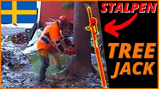 Best Lightweight Tree Jack For Precision Tree Felling  Stalpen Tree Jack [upl. by Aicek900]