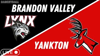 Brandon Valley vs Yankton Bucks Basketball [upl. by Enovaj]