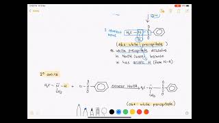 Hinsberg Test for differentiation between amines [upl. by Ammon]