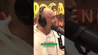 Joe Rogan On John Dalys Hilarious Hooters Stories and Vodka Drink [upl. by Joell552]