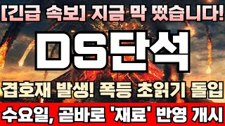 DS단석 주가전망 ‘주당 2주’ 무상증자 결정 무증 발표 이후 계속해서 주가 떨어지는 가장 명확한 이유 이달중 자회사 DS첨단소재 DS이앤이 합병 유력 DS단석완벽분석 [upl. by Kind]