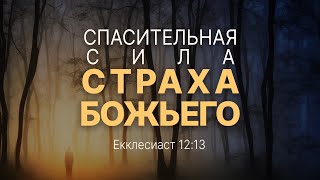 Проповедь quotСпасительная сила страха Божьегоquot Алексей Коломийцев [upl. by Ain445]