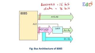 The address  data bus in 8085 is [upl. by Etnemelc]