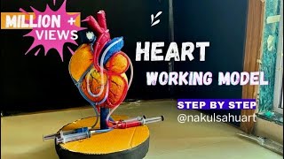 Biology Project  Heart working model 3d model science biology medical projectNakulSahuArt [upl. by Baun804]