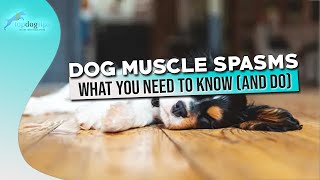 Dog Muscle Spasms What You Need to Know and Do [upl. by Einnij]