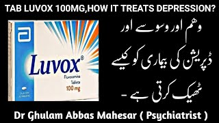 Tablet Luvox 100mg How it Treats Depression  Dr Ghulam Abbas Mahessar  In UrduHindi [upl. by Ynelram925]