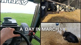 WHATS HAPPENING ON THE FARM IN MARCH [upl. by Aleahc]