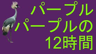 完全な背景画面パープル、パープルの12時間 [upl. by Llennyl184]