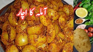 Easy amp Quick recipe of amla ka achar  Amla ka achar recipe  Achar recipe VillageCookingChannel [upl. by Hanselka]