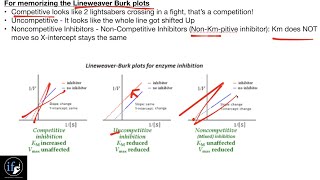 Mnemonics for LineweaverBurke Competitive NonCompetitive amp Uncompetitive Inhibitors [upl. by Wilhide]